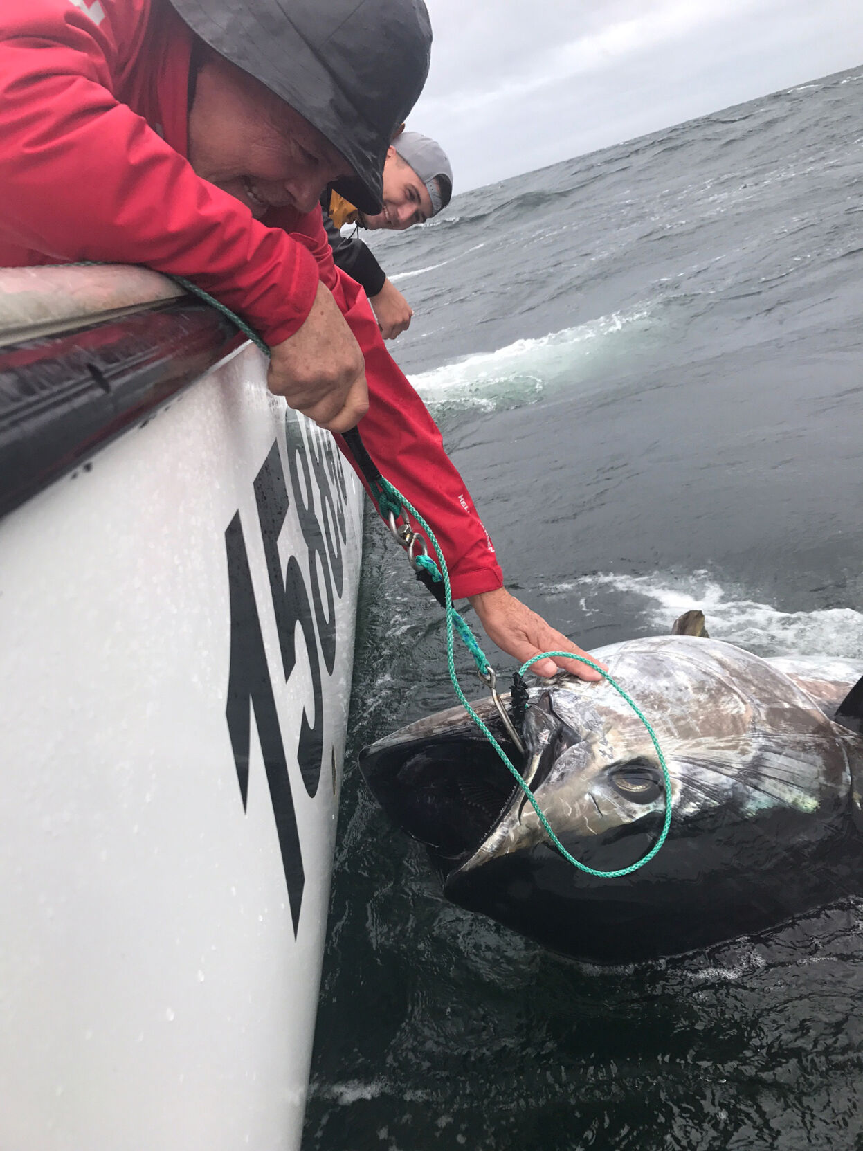 Tuna